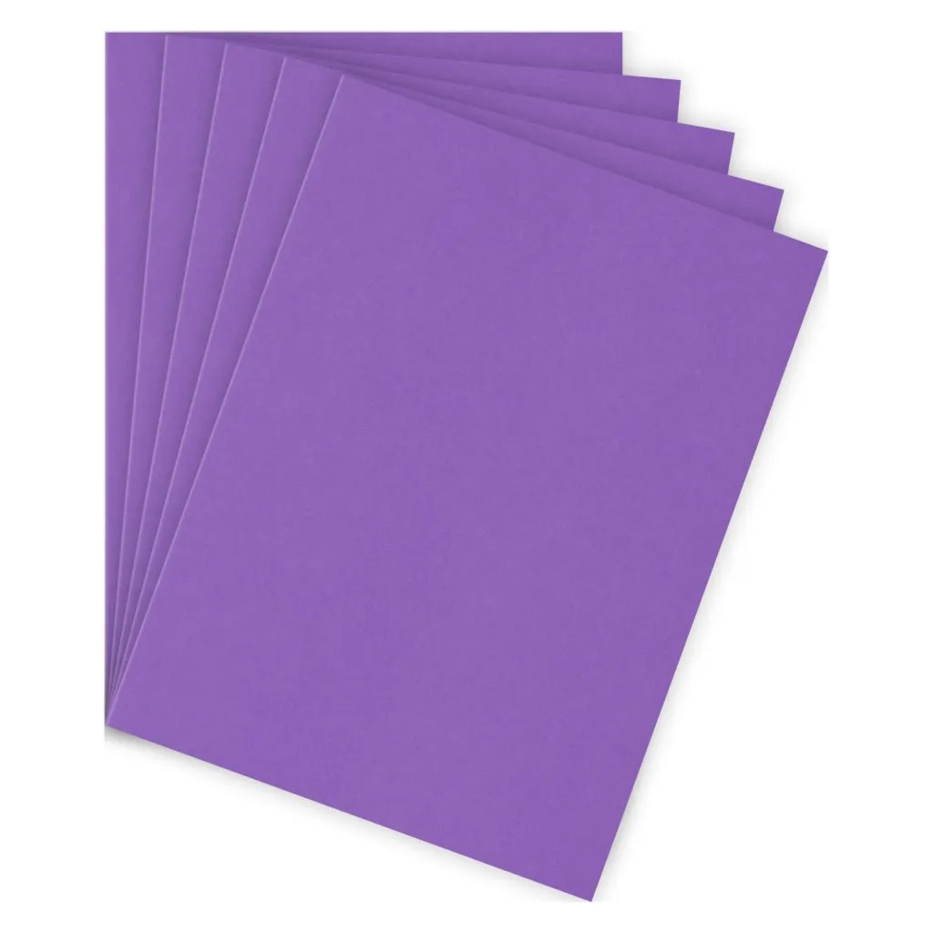 Chemise standard 210 g Bruneau 24 x 32 cm violette - Paquet de 100