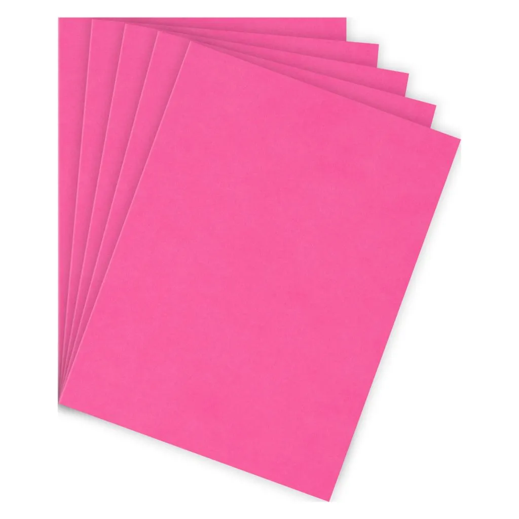 Sous-chemise standard 80 g Bruneau 22 x 31 cm rose - Paquet de 100