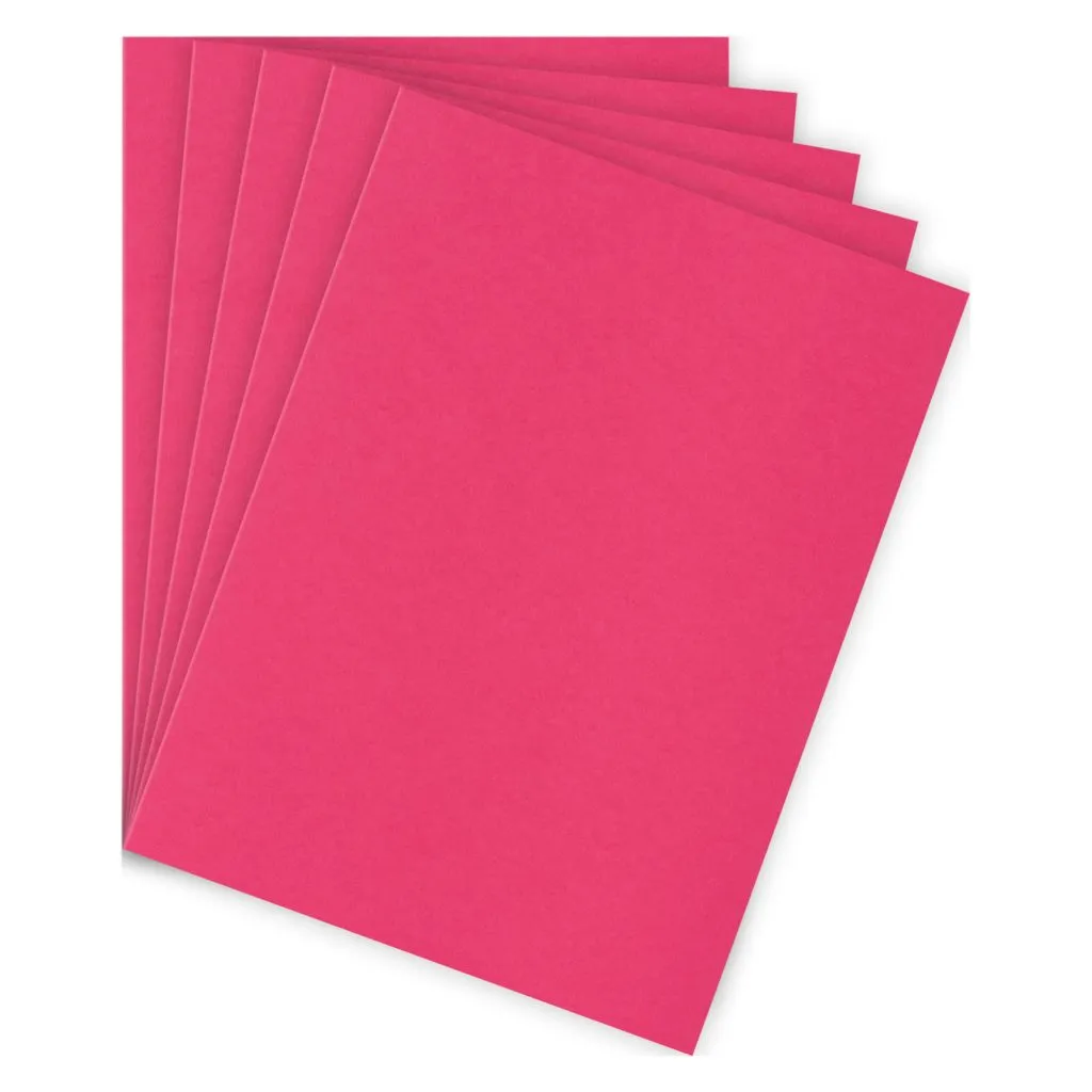 Sous-chemise standard 80 g Bruneau 22 x 31 cm framboise - Paquet de 100