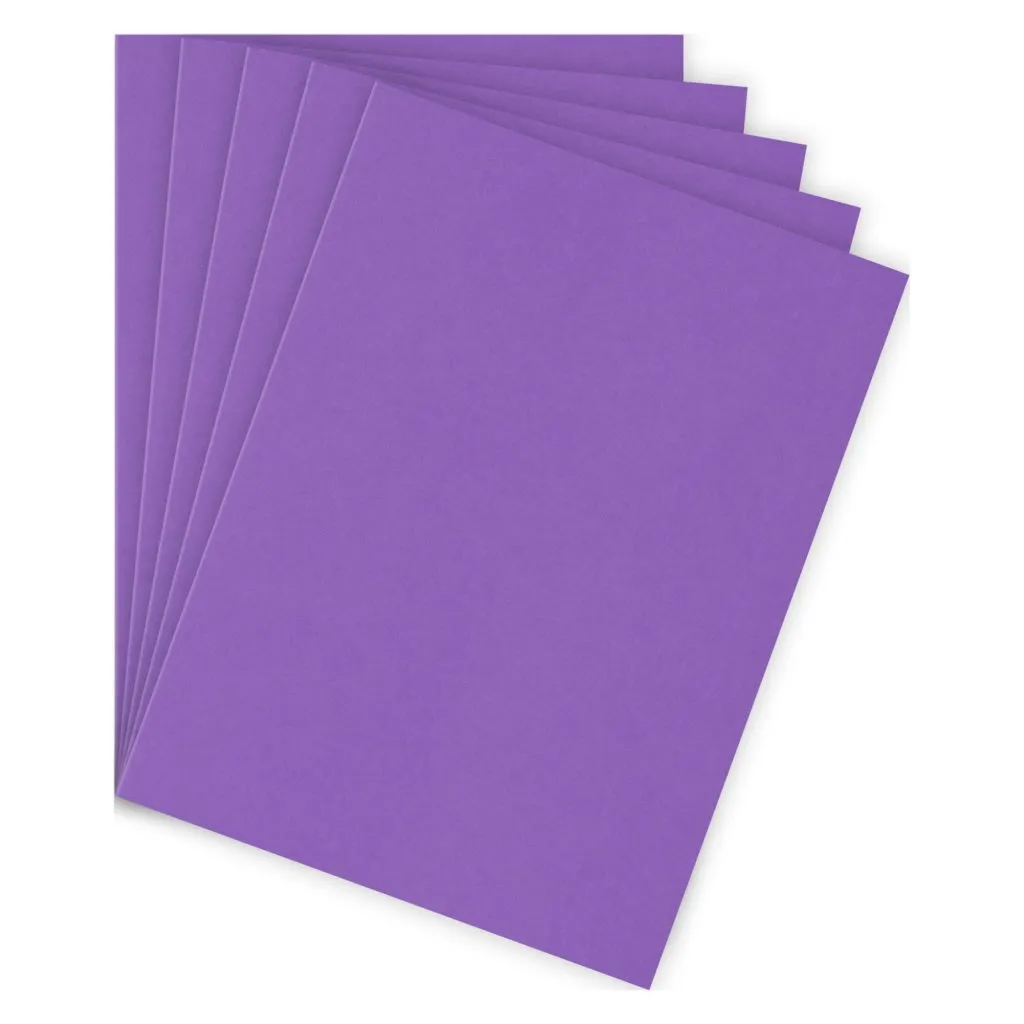 Sous-chemise standard 80 g Bruneau 22 x 31 cm violette - Paquet de 100