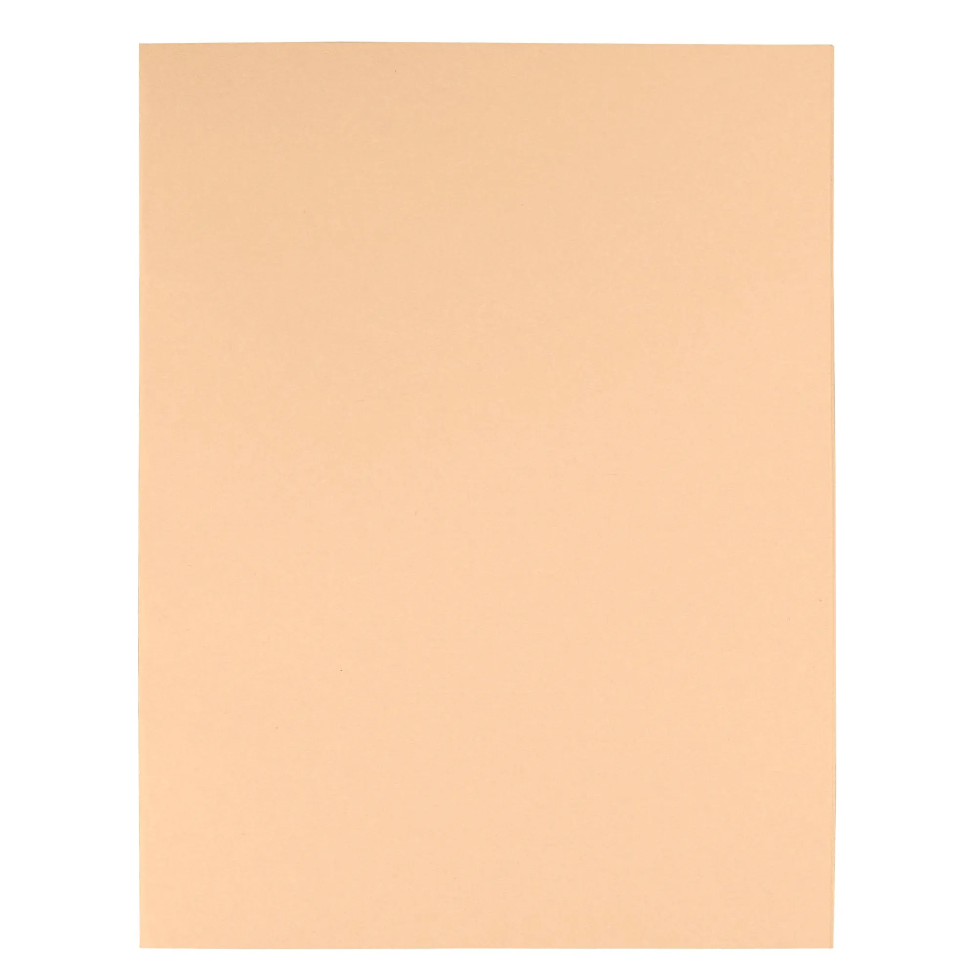 Chemise recyclée 170 g Exacompta 24 x 32 cm bulle - Paquet de 100