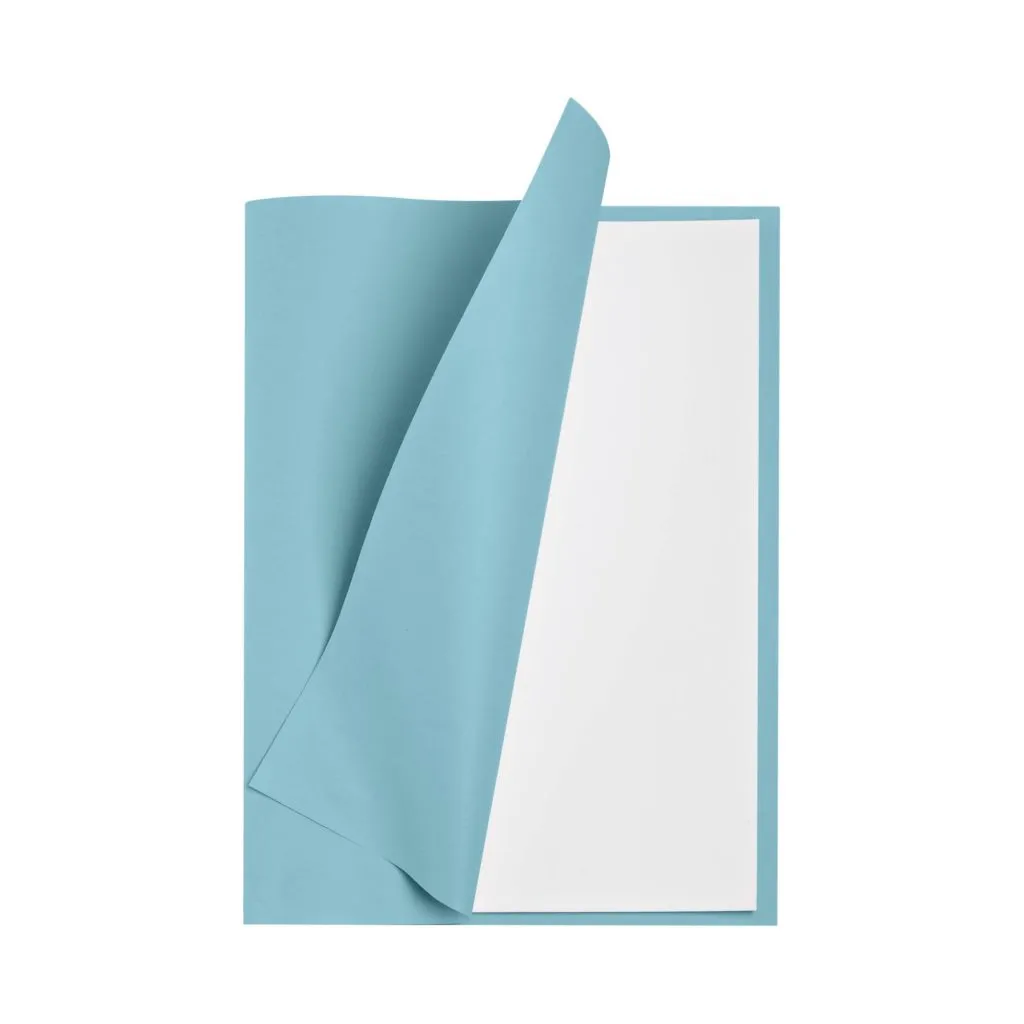 Sous-chemise 60 g Exacompta 22 x 31 cm bleue - Paquet de 250