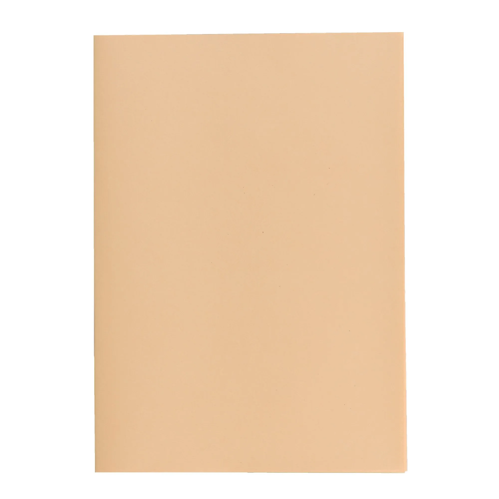 Sous-chemise 60 g Exacompta 22 x 31 cm bulle - Paquet de 250