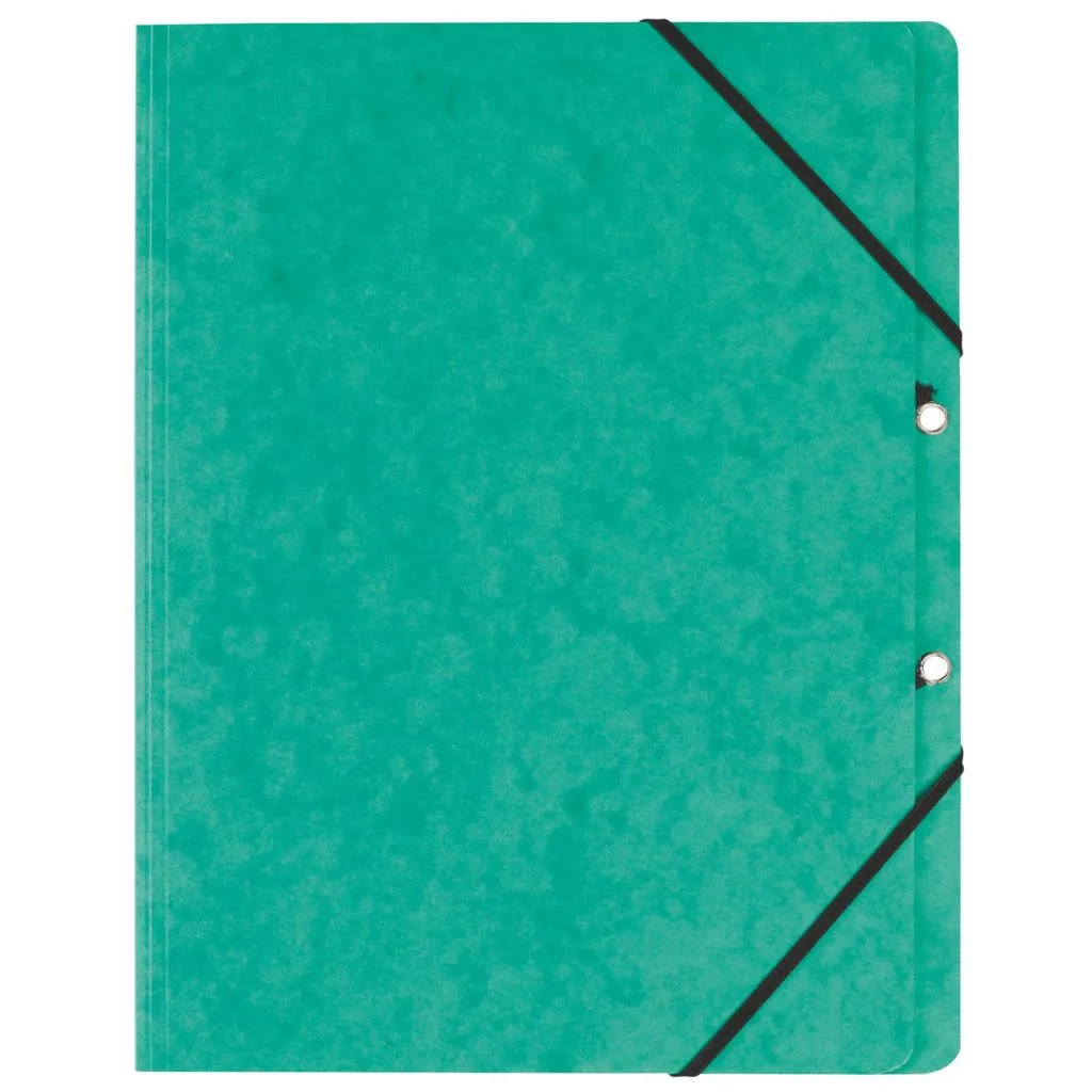 Chemise à élastique sans rabat carte Exacompta 24 x 32 cm dos 2,5 cm verte