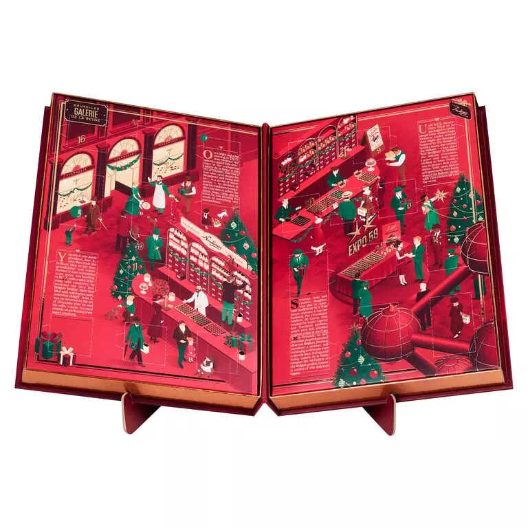 Calendrier de l’avent livre 313g