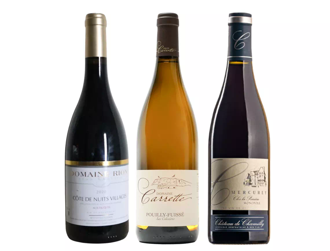 3 GRANDS TERROIRS de BOURGOGNE