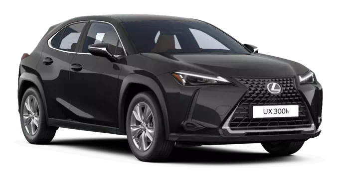 Lexus UX 300h
